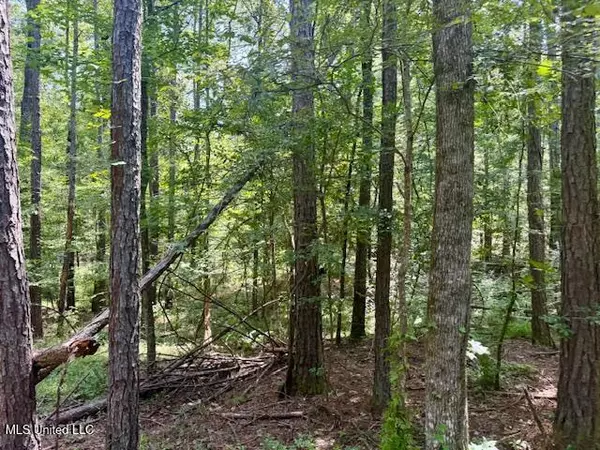 Crosby, MS 39633,Darrington Road