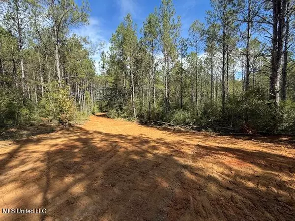 Osyka, MS 39657,Centerville Road