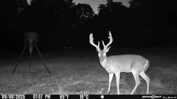 Yazoo City, MS 39194,2732 Myrleville Road