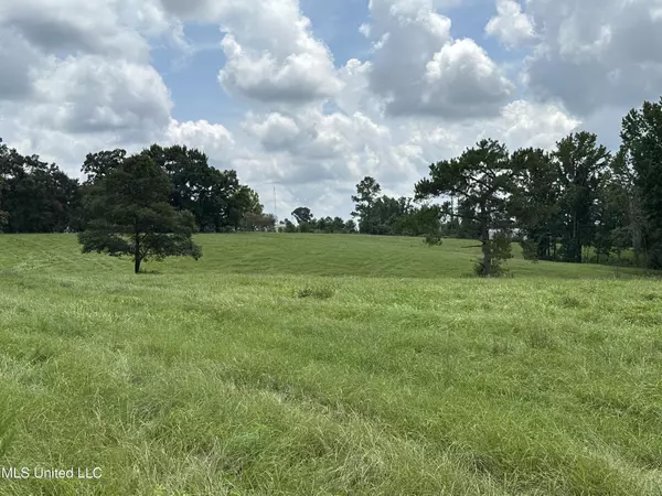 532 Slade Woodward Road, Poplarville, MS 39470