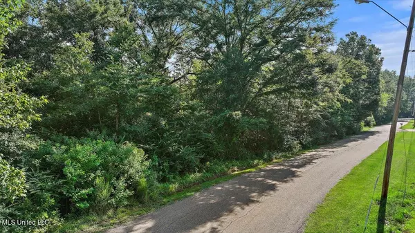 Clinton, MS 39056,Castlewood Drive