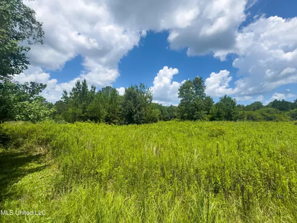 Poplarville, MS 39470,Ms-43