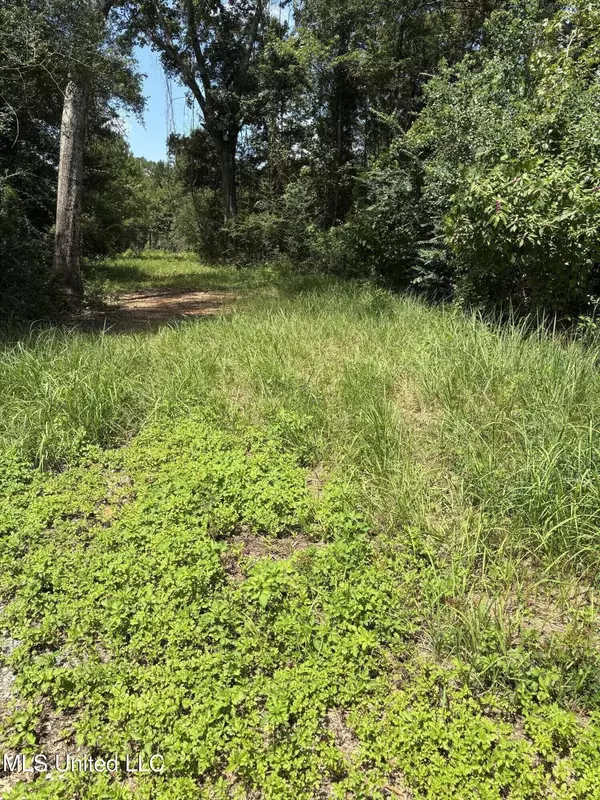 Vancleave, MS 39565,Ray Wilson Road