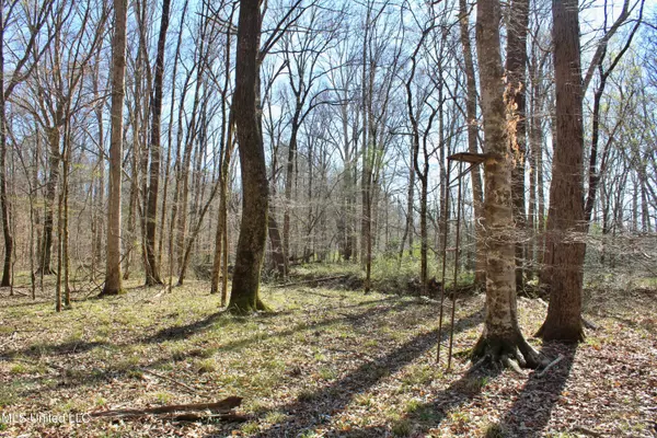 Kosciusko, MS 39090,Cr 3225