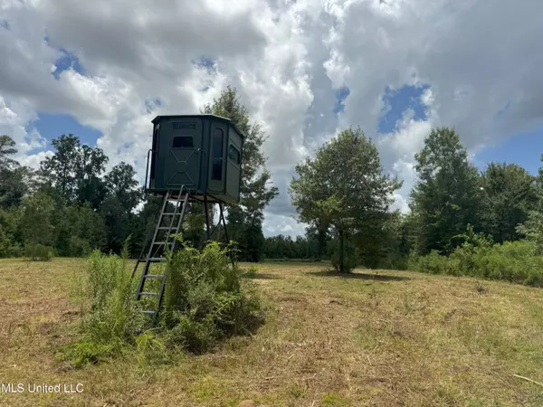 Brookhaven, MS 39601,Beltline Drive