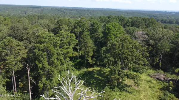 Foxworth, MS 39483,997 Morgantown Road