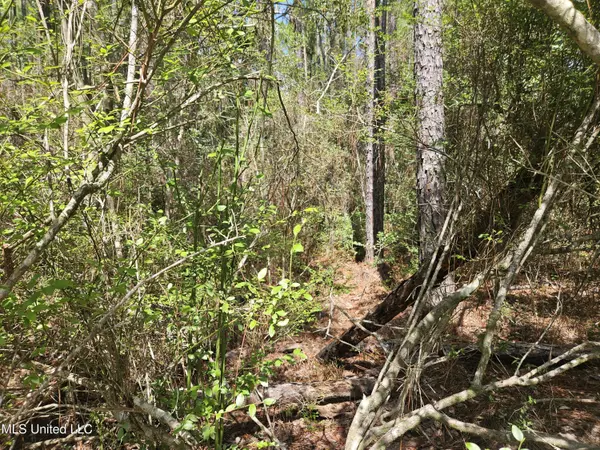 Biloxi, MS 39532,0 N Mill Creek Drive