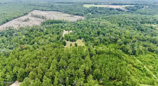 Lucedale, MS 39452,40+/-Acres Luther Davis Road