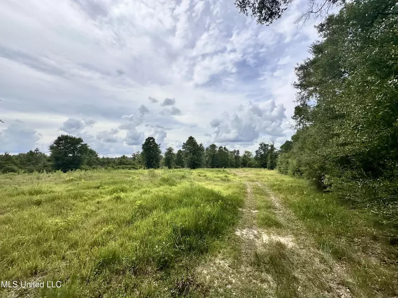 40+/-Acres Luther Davis Road, Lucedale, MS 39452