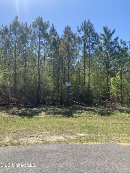 Stonegate Circle, Perkinston, MS 39573
