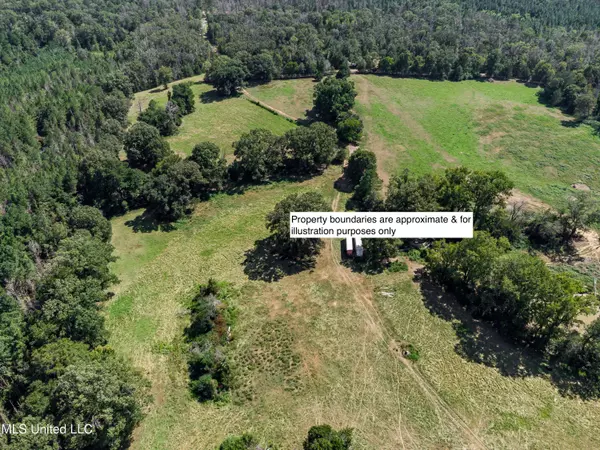 Crystal Springs, MS 39059,0 Ford Lane