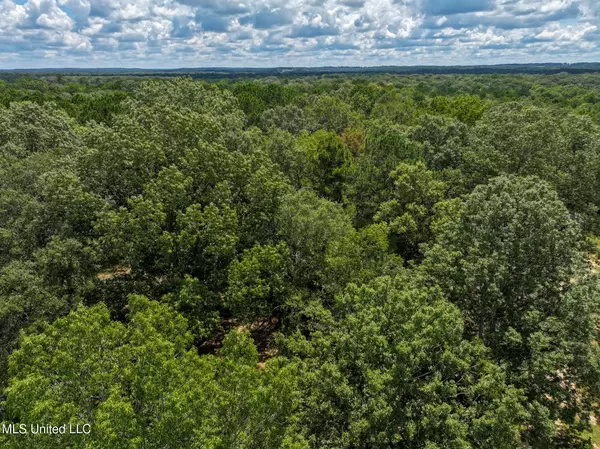 Mendenhall, MS 39114,113 Williamson Lane