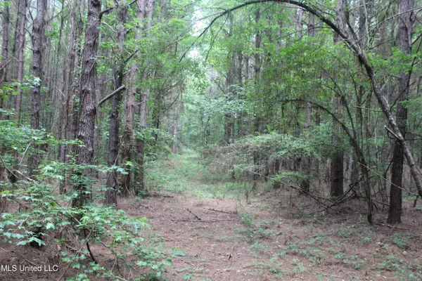 Brookhaven, MS 39601,Hwy 550