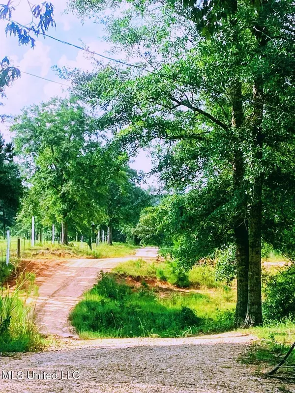 Poplarville, MS 39470,250 Redfish Rd Road