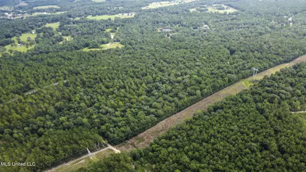 Perkinston, MS 39573,Silver Run-Progress Road