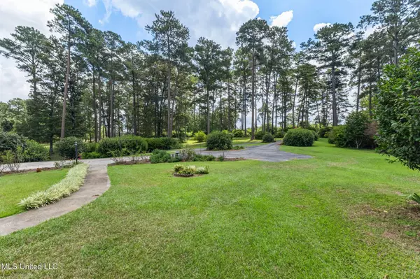 Collins, MS 39428,307 Salem School Road