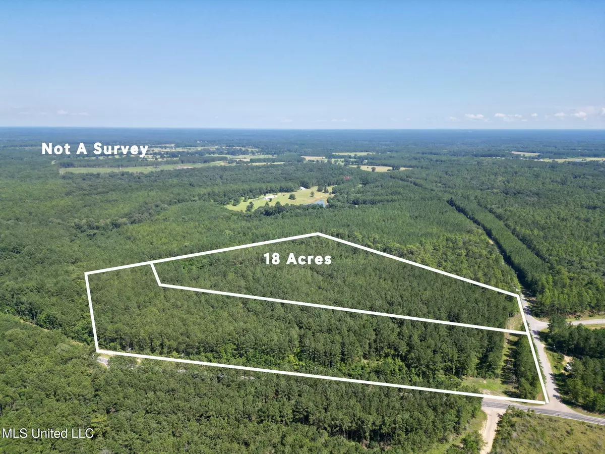 Poplarville, MS 39470,Gobbler Head Road