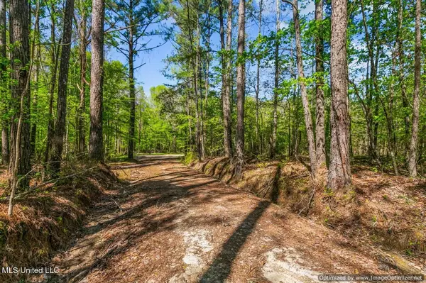 Hickory, MS 39332,21959 Hwy 80