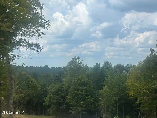 Ripley, MS 38663,0 Cr  244