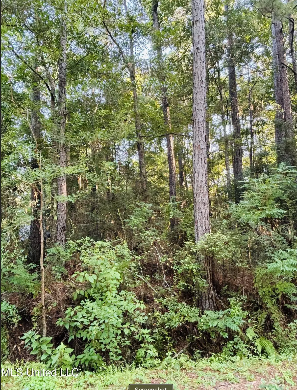 Gautier, MS 39553,Stockton Circle