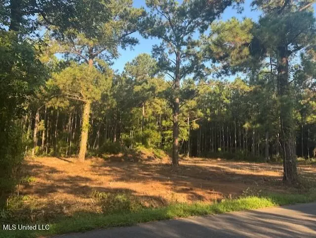 471 White Chapel Road, Carriere, MS 39426
