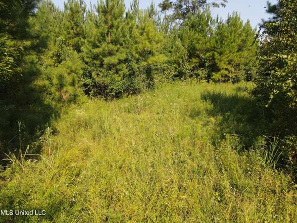0 Davis Road, Purvis, MS 39475
