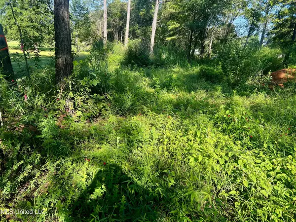 Lucedale, MS 39452,93 Albert Davis Road