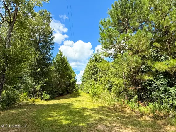 Magnolia, MS 39652,4106 Tanglewood Road