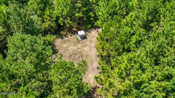 Magnolia, MS 39652,4106 Tanglewood Road