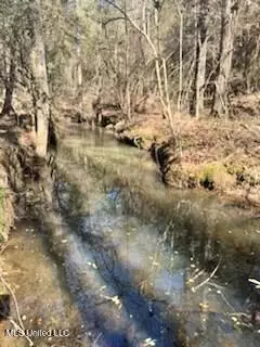 Jayess, MS 39641,James Ratliff Road