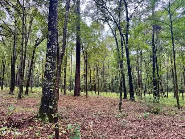 Robinson Road, Canton, MS 39046