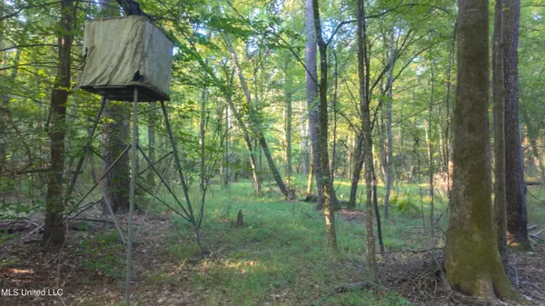 Liberty, MS 39645,N Greensburg Road