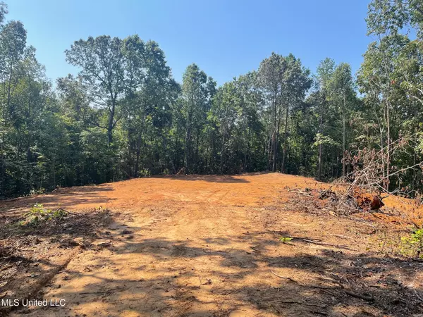 New Albany, MS 38652,Ms-370