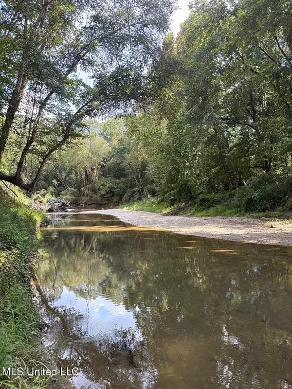 1001 Mullins Lane,  Crystal Springs,  MS 39059