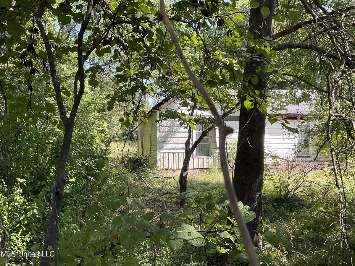 Holly Springs, MS 38635,285 E Van Dorn Avenue