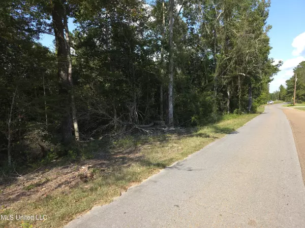 Sontag, MS 39665,Cub Brown Road