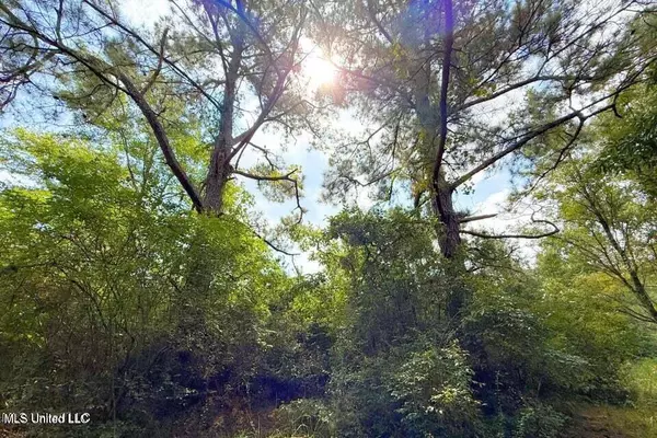 Vancleave, MS 39565,8405 Wire Road