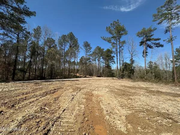 New Hebron, MS 39140,0 Highway 478