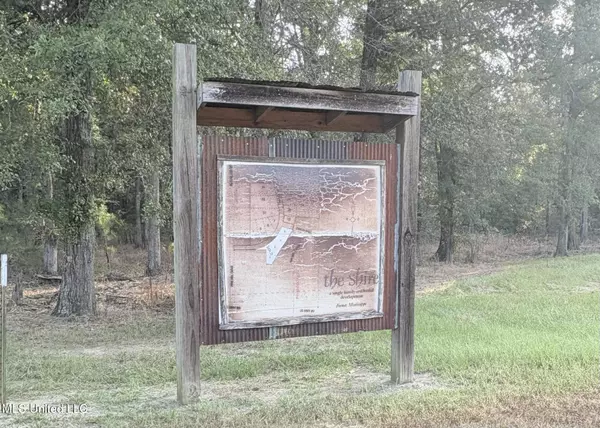 Forest, MS 39074,0 Shire Avenue