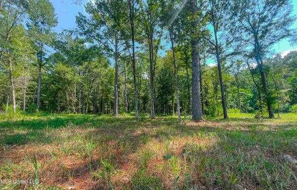 Madison, MS 39110,174 Hunters Cove