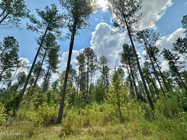4 Dry Grove Road, Terry, MS 39170