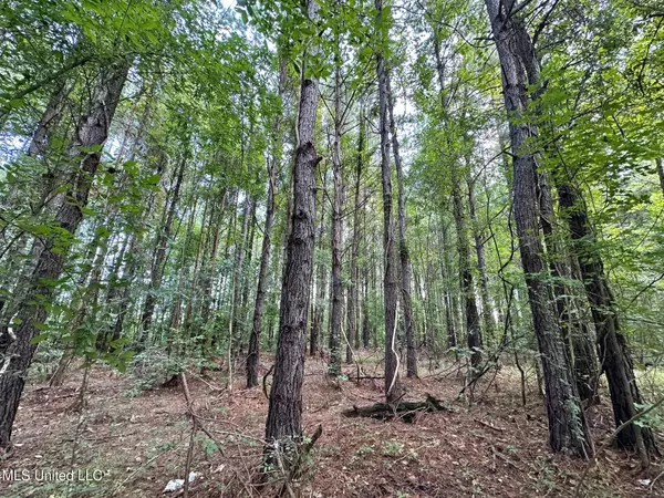 4 Prentiss Crump Road, Terry, MS 39170