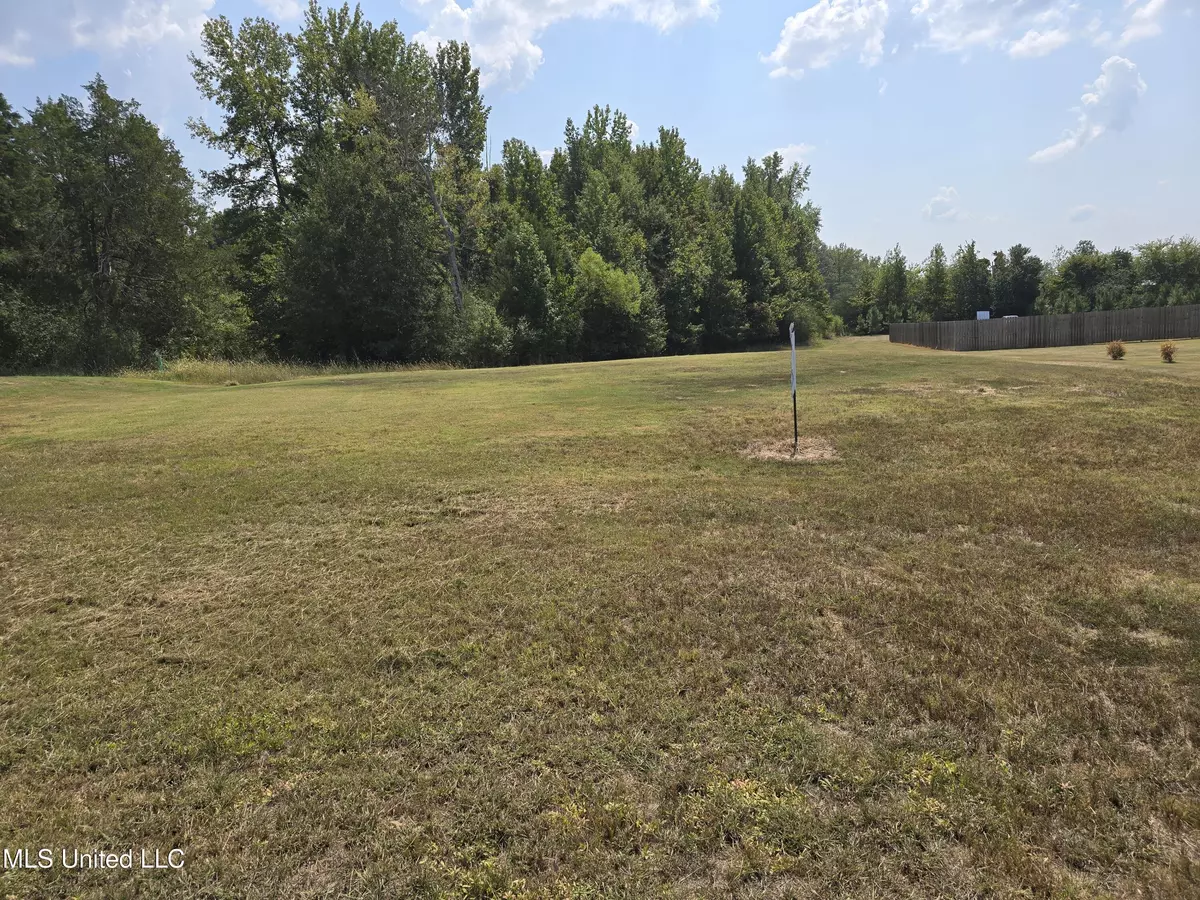 Senatobia, MS 38668,109 Carolina Circle