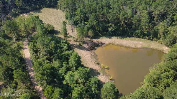 Canton, MS 39046,149 Lone Pine Road