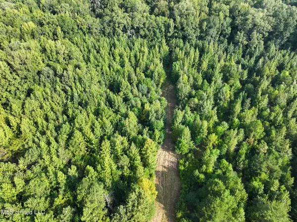 Crystal Springs, MS 39059,Bethesda Road