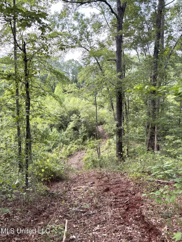 Kosciusko, MS 39090,County Rd 5034