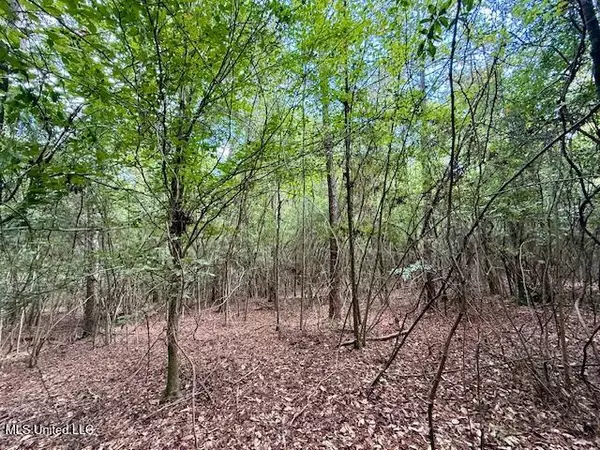 Magnolia, MS 39652,Old Highway 51 S