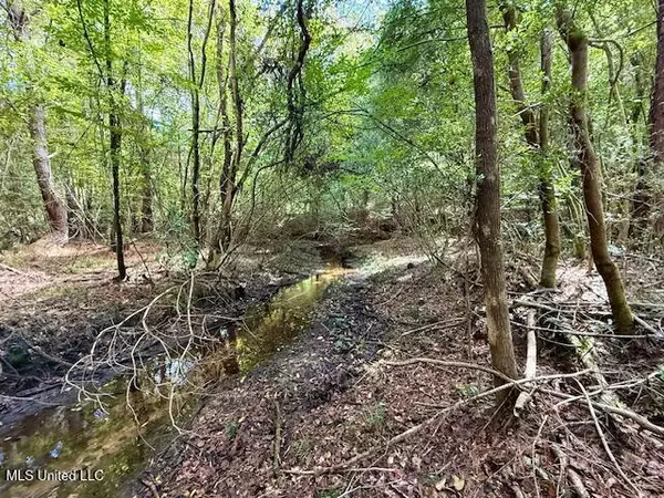 Old Highway 51 S,  Magnolia,  MS 39652