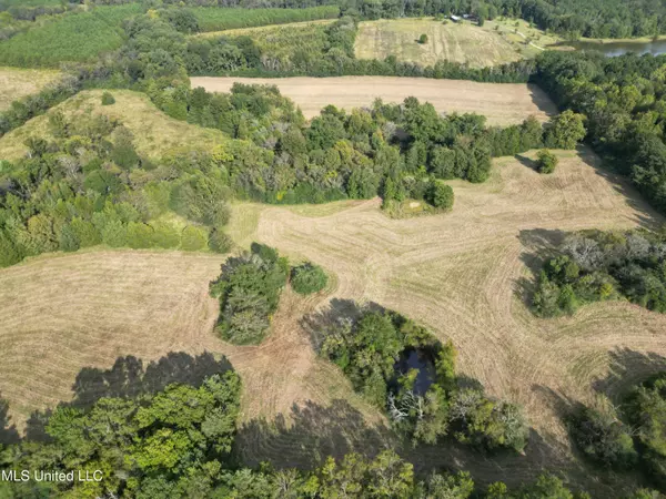 Canton, MS 39046,254 Renfroe Road