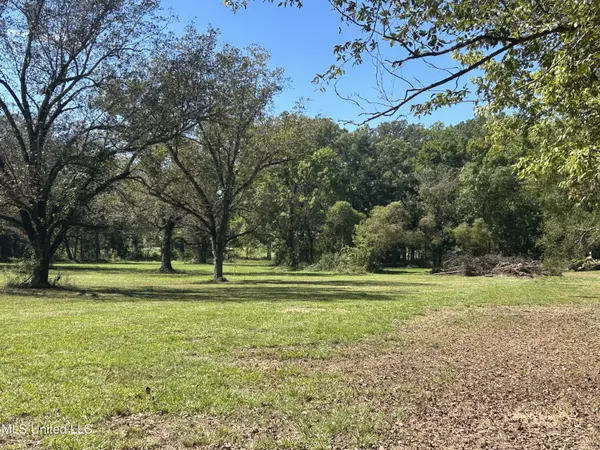 Clinton, MS 39056,Pinehaven Road Lot 2